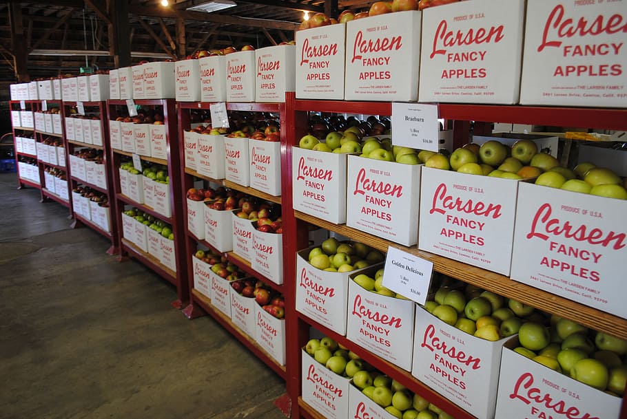 Apples Fruit Warehouse Food Apple Barn California Retail