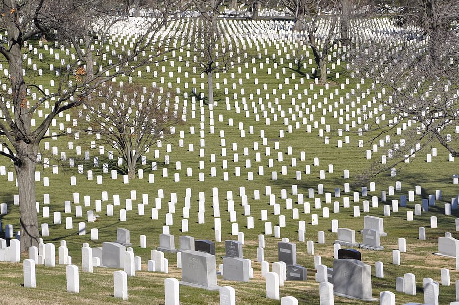 cementerio con árboles, Arlington, cementerio, Estados Unidos, Washington Dc, tumbas, cementerio militar, guerra mundial, lápida, en una fila