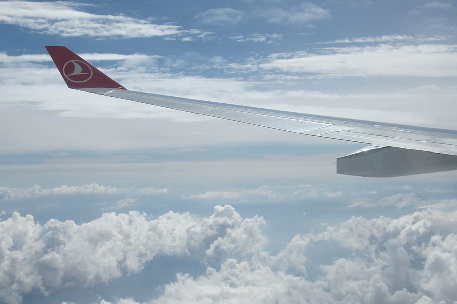 gris, rojo, avión, vuelo, nubes, por encima de las nubes, aviación, ala, aerolínea turca, mosca
