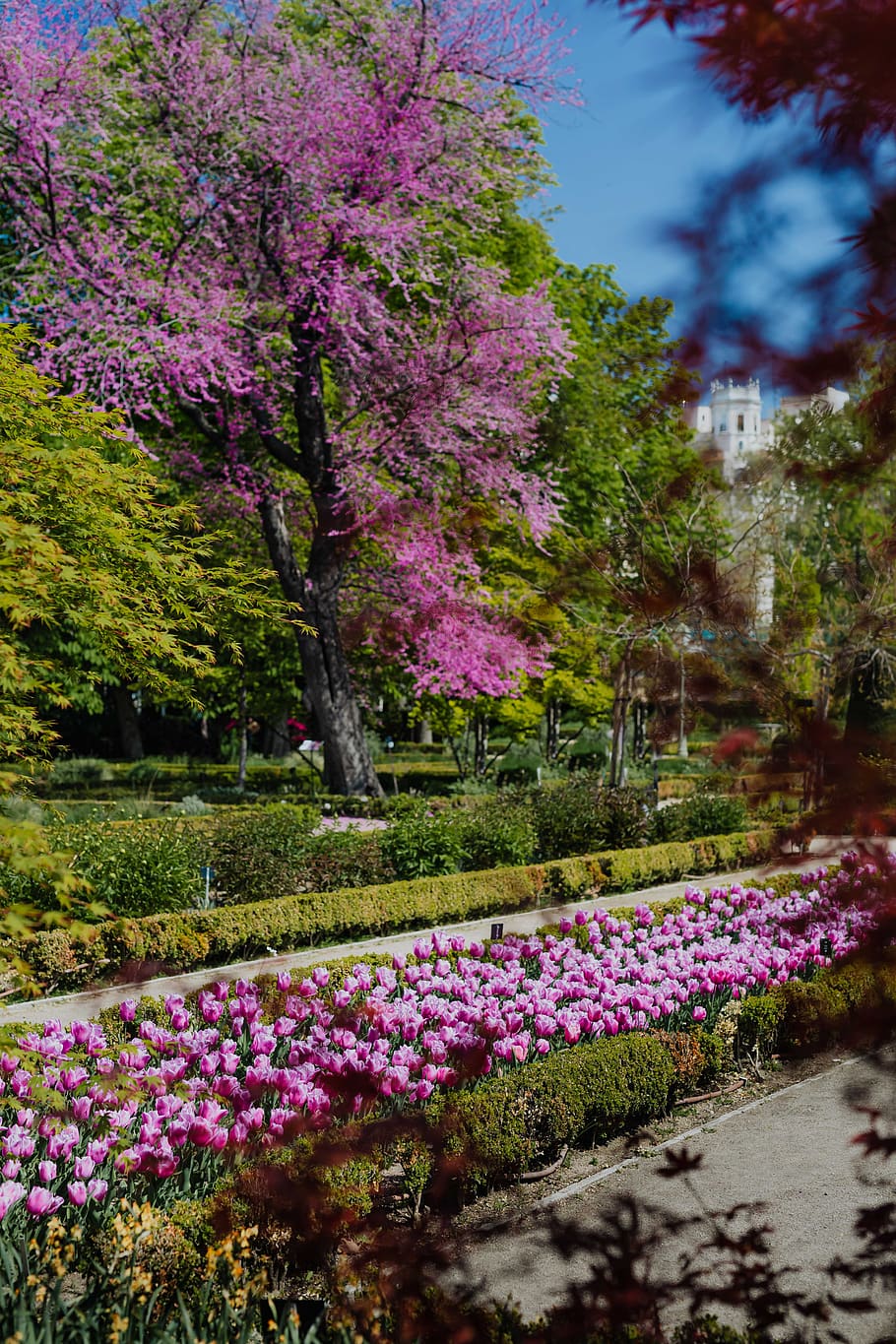 botani, taman, jardin nyata, musim semi, alam, Eropa, perjalanan, Nyata, Jardin, Botanico