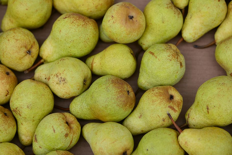 bunch, pear fruits, pears, fruit, fruits, harvest, green yellow, left untreated, healthy, naturkost