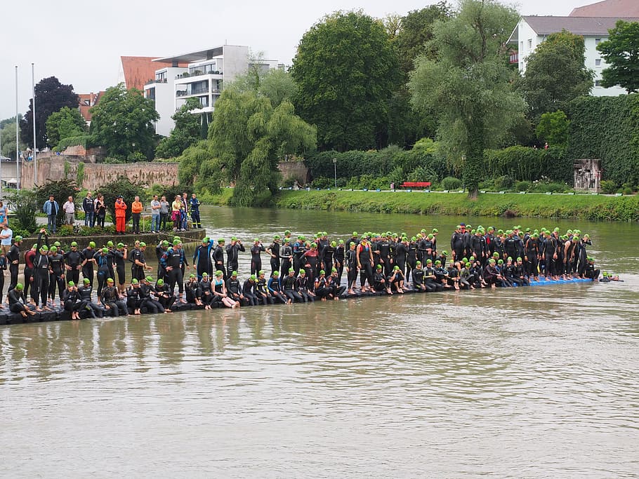 Competition, Start, Swim, track and field athletes, athletes, triathlon, danube, ulm, swimmer, wetsuits