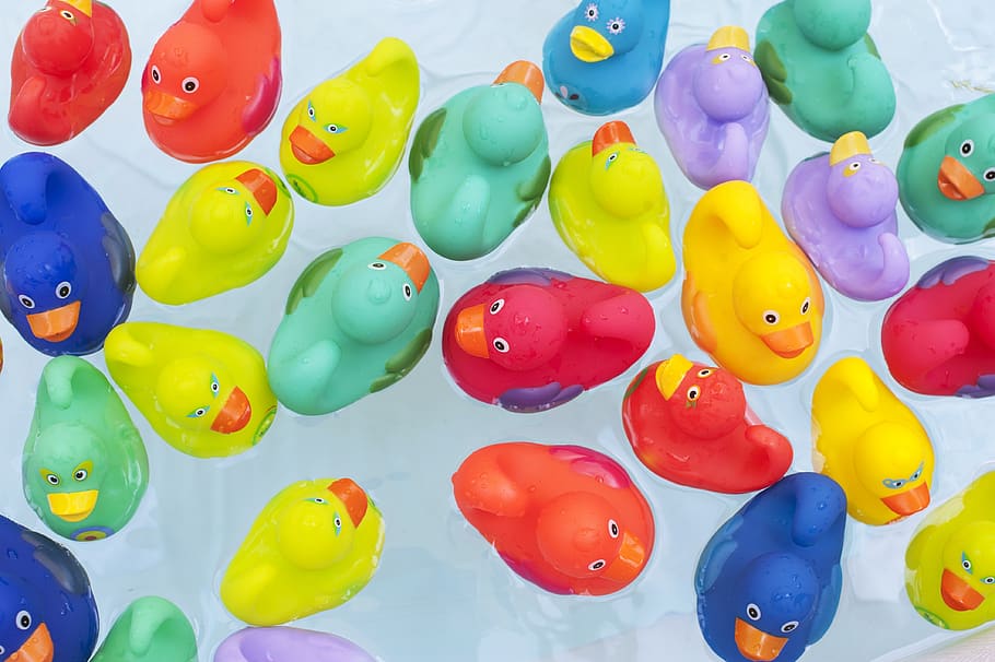 ducks, toys, water, floating, colorful, float, fun, summer, yellow, colors