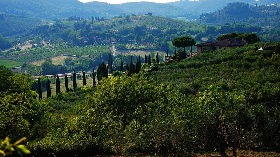 landscape, tuscany, nature, plant, tree, scenics - nature, mountain, green color, environment, built structure