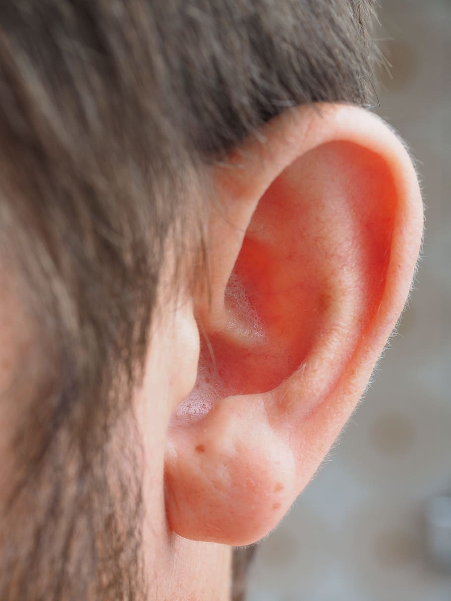 person's left ear, ear, listen, person, human, auricle, sensory organ, perception, hearing, human auricle