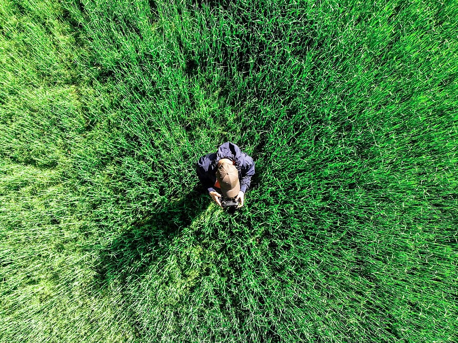 from the top, drone, aerial view, in flight, field, campaign, nature, dji, the pilot drone, perspective