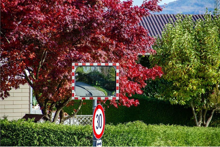 road mirror, street sign, traffic mirror, attention, caution, exit mirror, autumn, tree, leaves, colorful