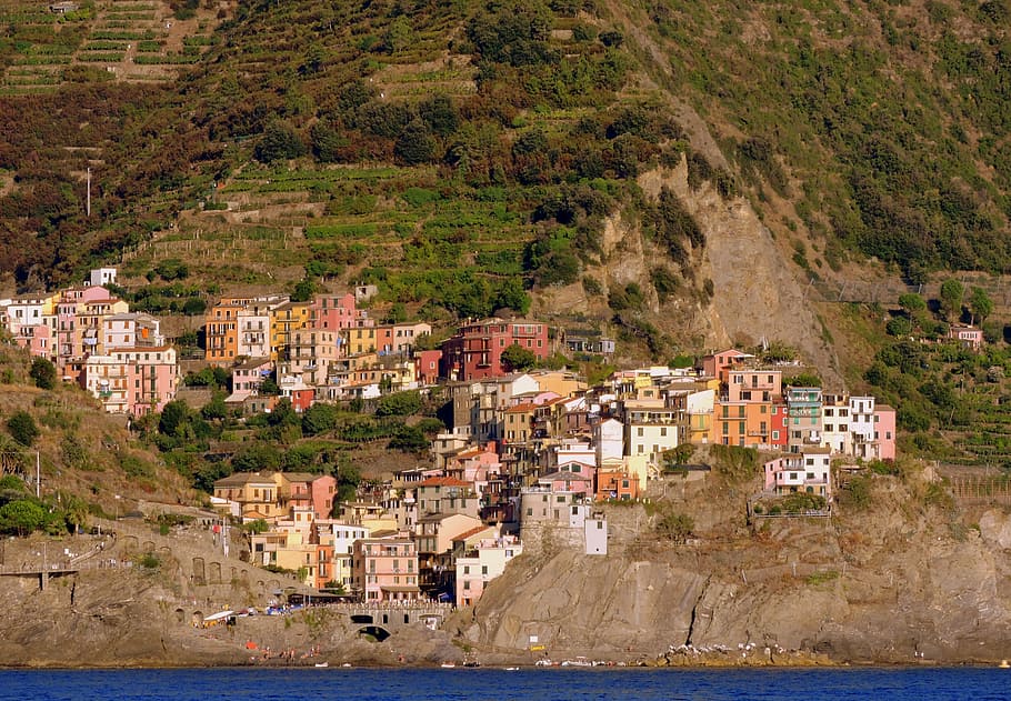 casas, colores, colorido, mar, roca, montaña, agua, manarola, liguria, italia