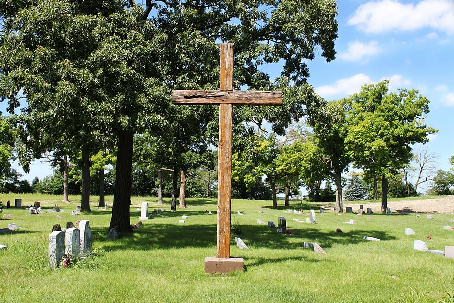 Cross, Wooden, Cemetery, Graveyard, monument, crucifix, memorial, funeral, tree, tombstone
