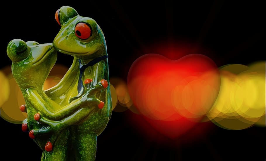 bokeh photography, couple red-eyed frog, love, valentine's day, pair, romance, together, romantic, lovers, luck