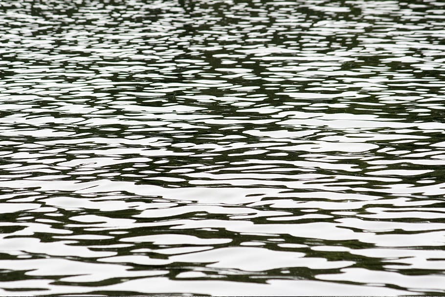 water lake texture wet surface full frame backgrounds waterfront rippled nature pxfuel https creativecommons org licenses publicdomain