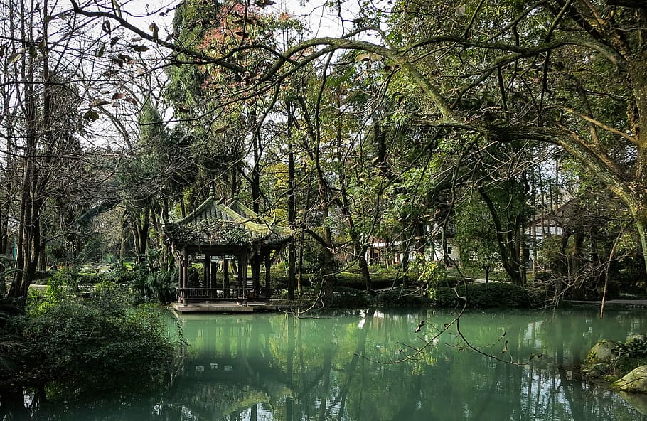 green, trees, body, water, leaf, tree, branches, nature, Jade Pavilion, Dujiangyan