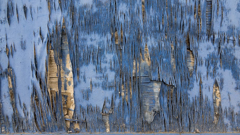 blue, brown, painted, wooden, board, texture, background, wood, splintered, weathered