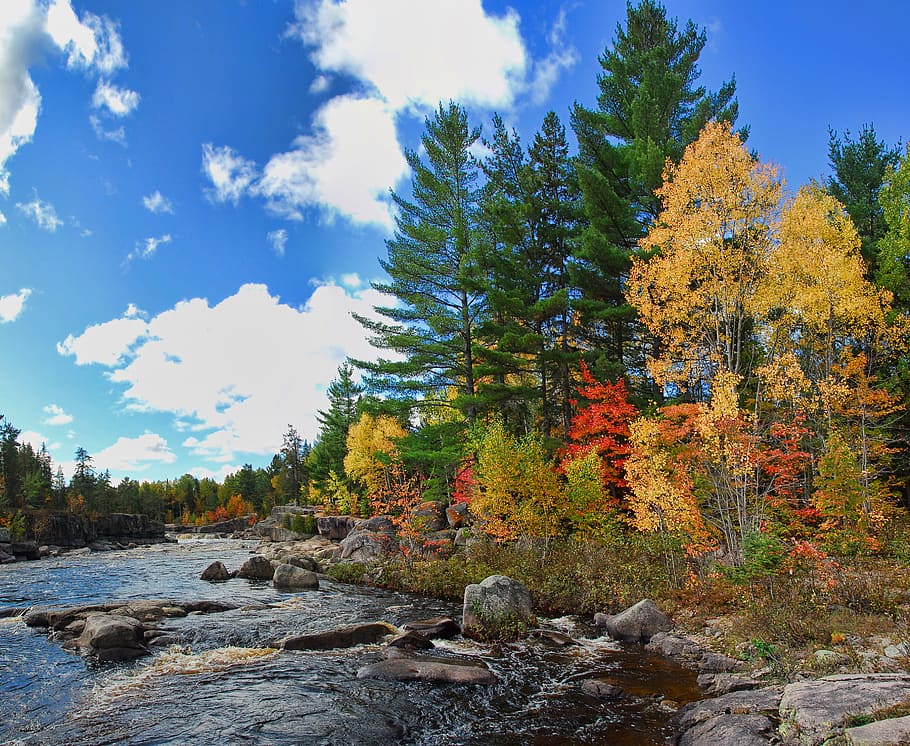Autumn, Fall, Fall, Colors, Colours, Canada, autumn, fall, colors, orange, nature, season