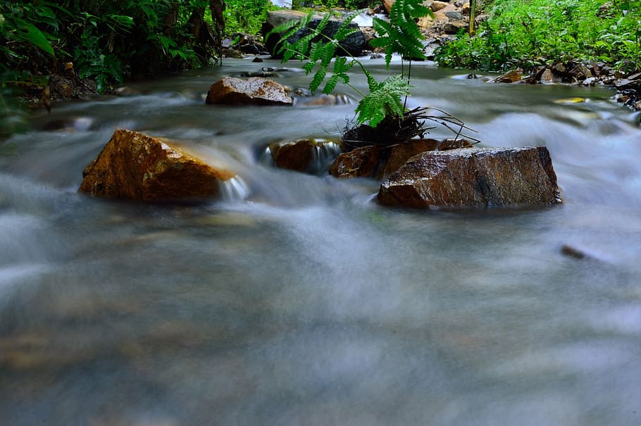 agua, arroyo, flujo, naturaleza, río, roca, viga or ว, cascada, larga exposición, planta