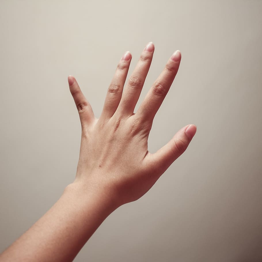 левая рука человека, Человеческая рука, рука, фотография, ладонь, Палец, Часть человеческого тела, Человеческий палец, Студийный снимок, Взрослый человек