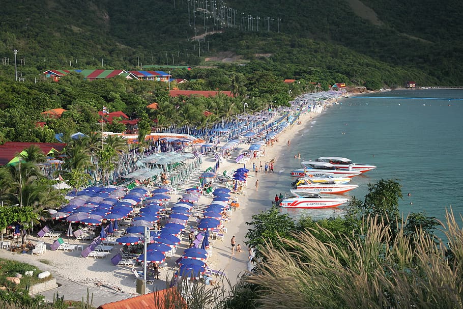 aerial, view, patio umbrellas, seashore, daytime, beach, pattaya, kolan, kolan island, koh lan