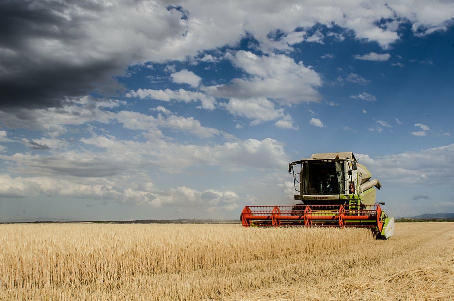 green, harvester, grass field, harvest, combine harvester, agriculture, cereals, herbaceous, food, bread