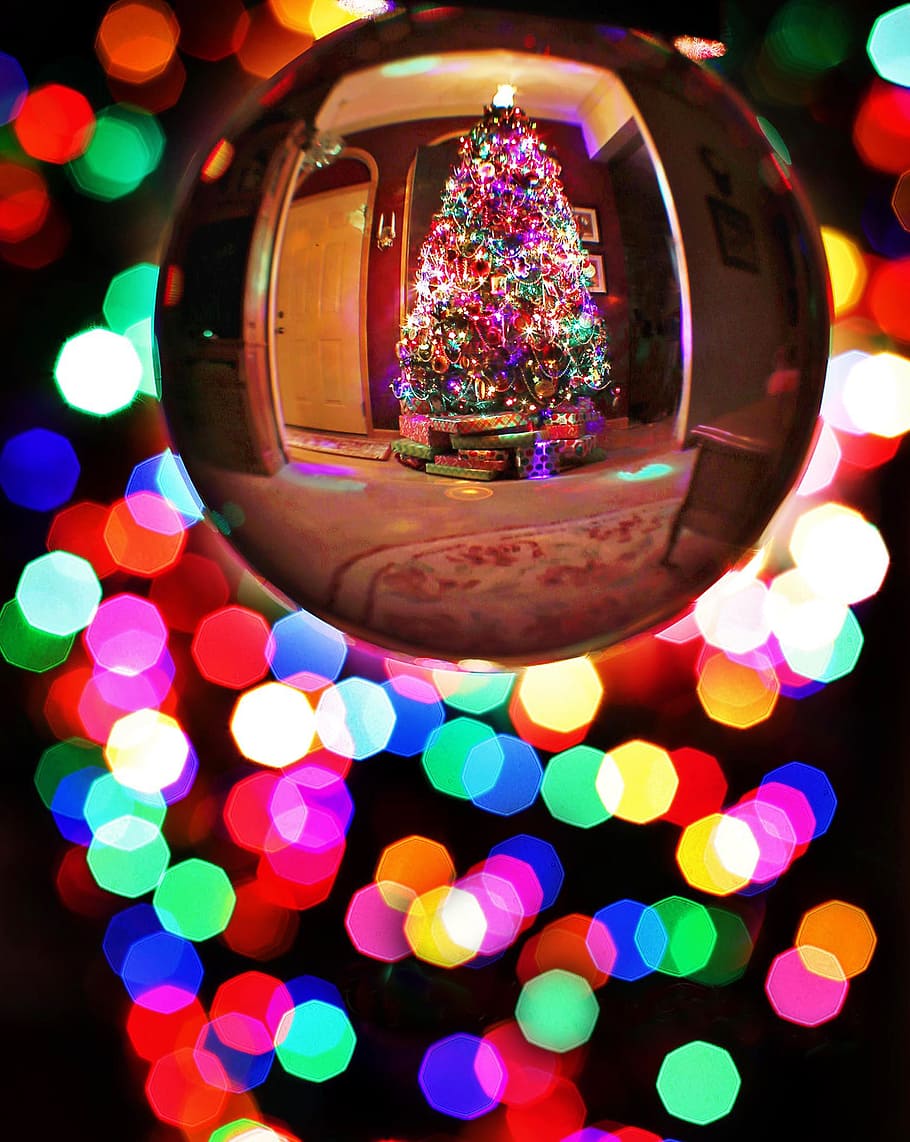 pohon natal, tercermin, jelas, perhiasan, natal, bola kristal, bola, refleksi, kristal, dekorasi