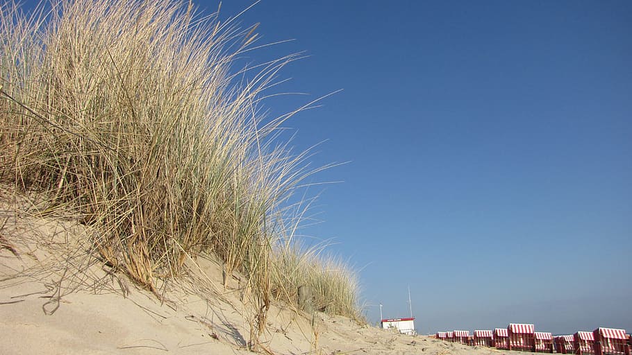 Dune, Beach, Baltic Sea, Summer, background, sand, sea, reed, beach chair, sky