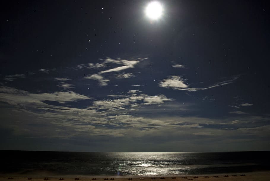moonlight, beach, moon, night, sky, water, sea, ocean, twilight, horizon