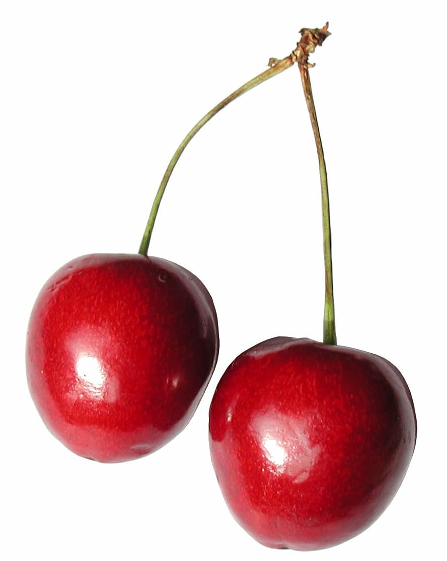cherries, fruit, sweet, delicious, red, food, eat, berries, plant, fruits