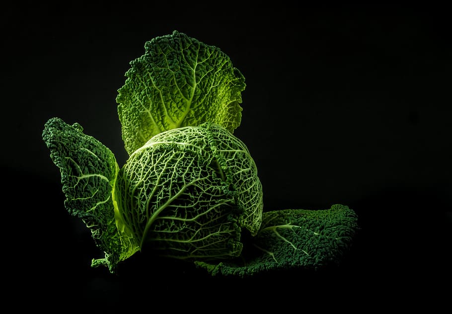 green, cabbage, black, background, vegetables, forget, old, power supply, food, health