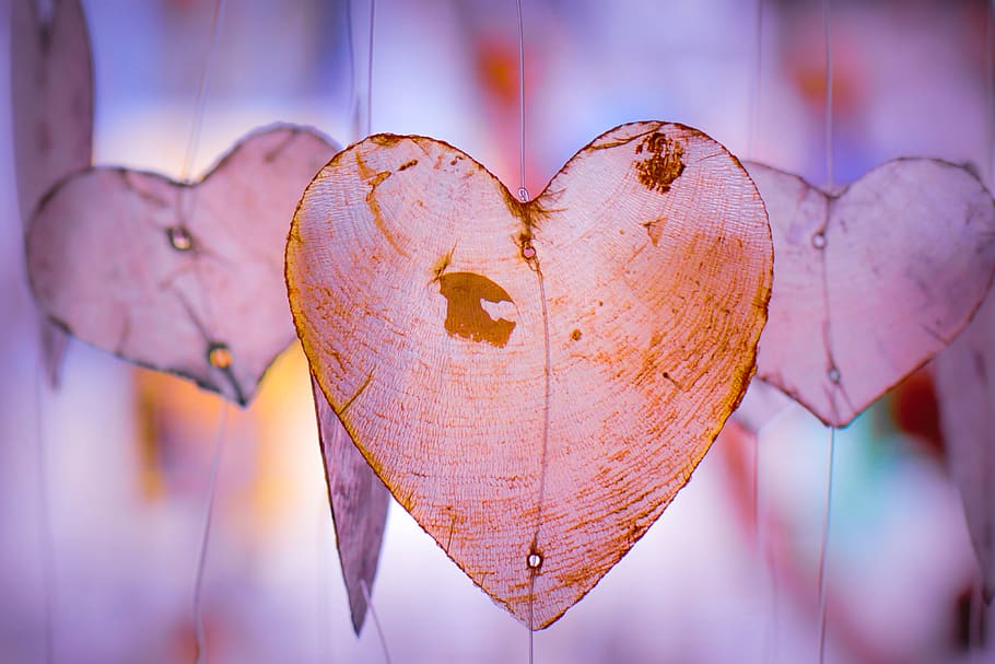 heart, love, romantic, romance, valentine, relation, heart shape, close-up, focus on foreground, leaf