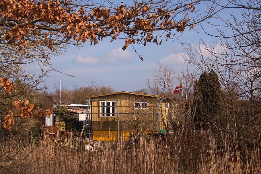 allotment, house, hut, autumn, wood, withered, leaves, sunshine, sky, clouds