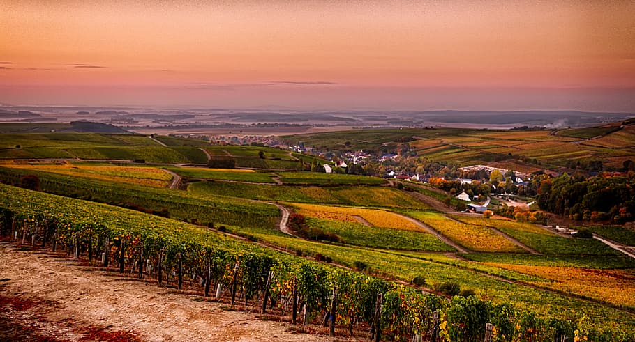 Sancerre, countryside, grass, field, daytime, scenics - nature, landscape, sunset, environment, beauty in nature