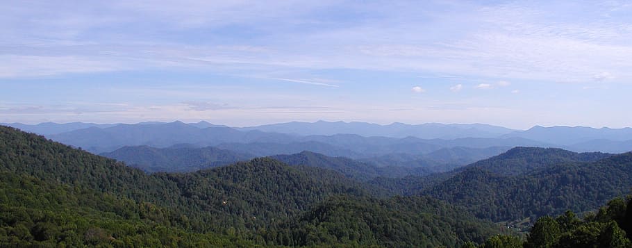 mountains, covered, trees, taken, daytime, blue ridge, appalachian, nature, landscape, carolina