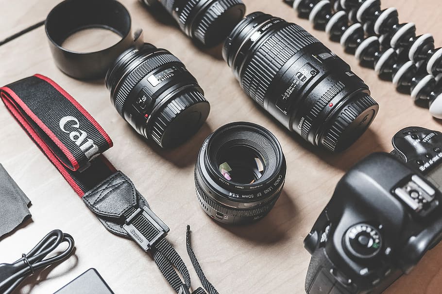 fotógrafo cámara réflex digital, y, equipo de lentes, profesional, fotógrafo, cámara réflex digital, amplificador, lente, equipo, cables
