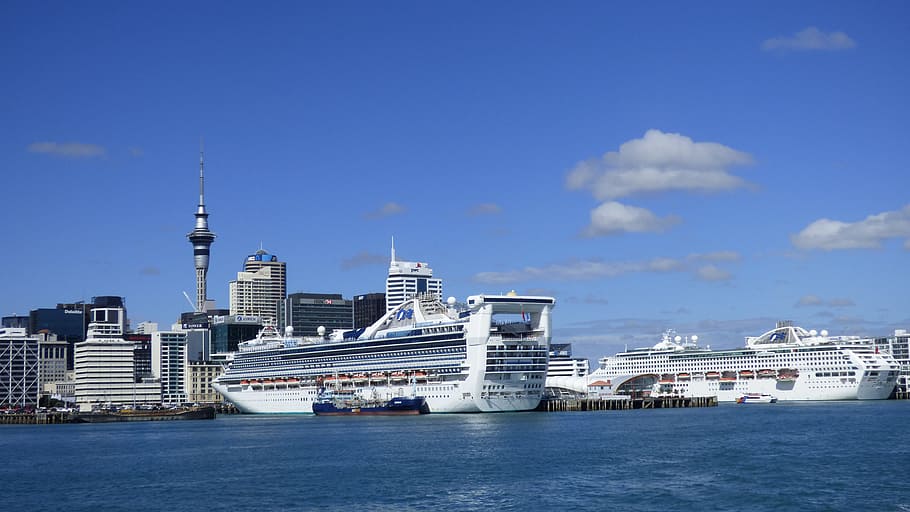 crucero, cuerpo, agua, Auckland, Nueva Zelanda, Dawn Princess, princesa dorada, puerto, arquitectura, exterior del edificio