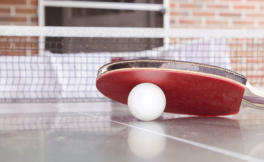 vermelho, marrom, raquete de ping pong, branco, bola, mesa, tênis de mesa, brinquedos, objeto, esporte