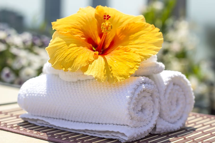yellow, hibiscus flower, white, towels, towel, hibiscus, clean, care, salon, spa