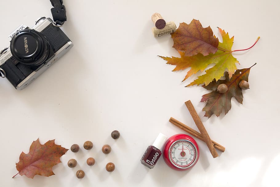 flat lay, camera, autumn, leaves, fall, foliage, makeup, clock, desk, lance