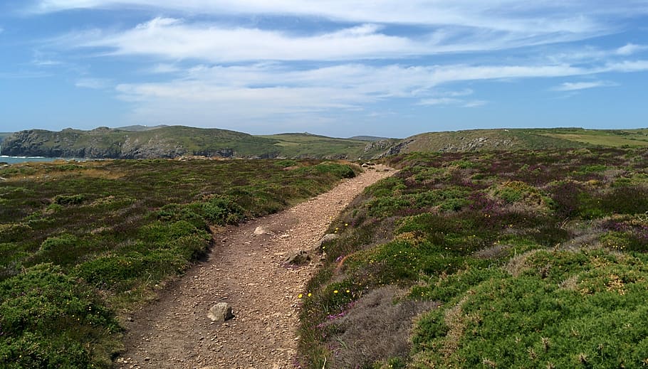 Path, Coast, Heather, Coastline, Wales, outdoors, britain, landscape, the way forward, sky