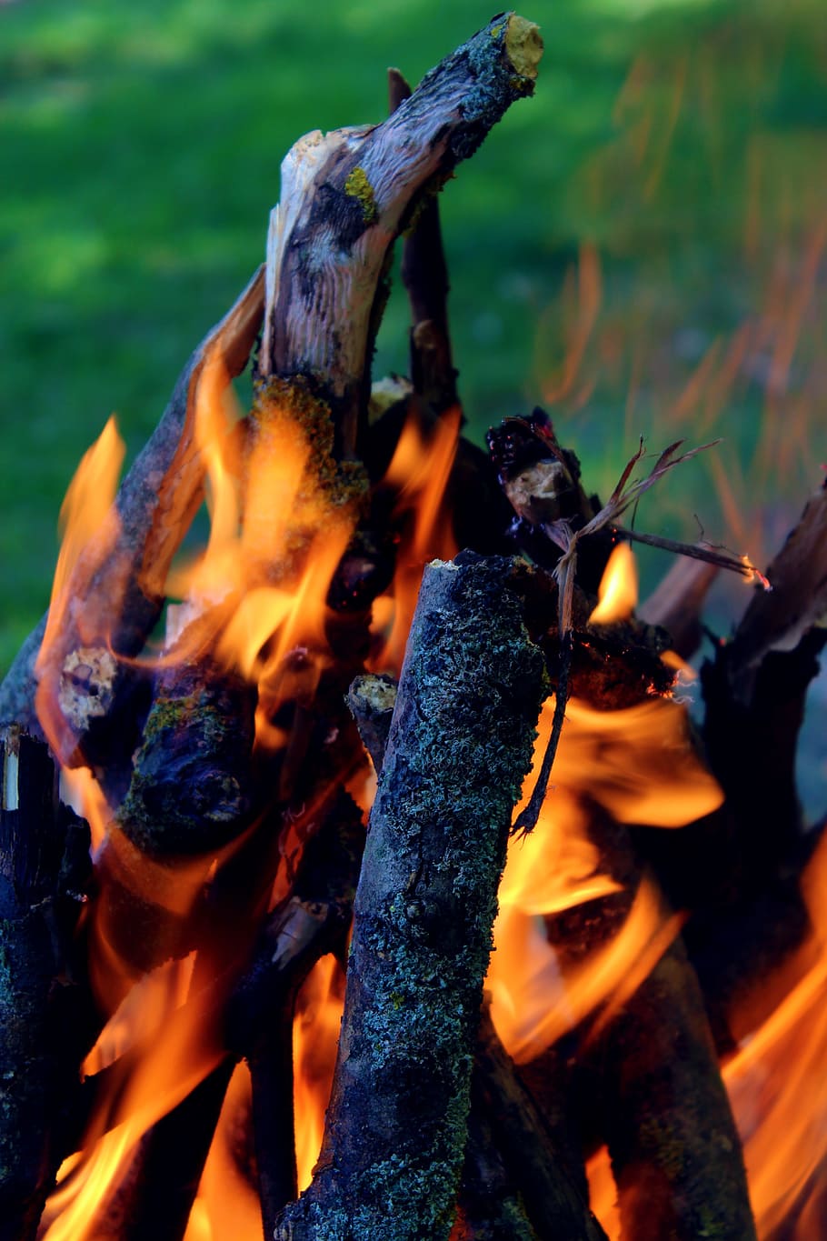 api, flama, kayu, barbecue, membakar, batu bara, alam, merah, hangat, panas