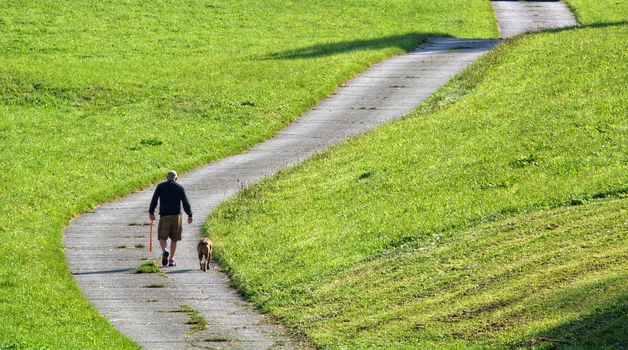 man, walking, road, grass field, daytime, Person, Human, Dog, Walk, Hiking