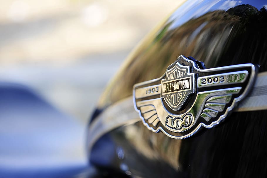logotipo de harley-davidson, motorista, harley, harley davidson, 1200, personalizado, aniversario, sportster, moto, motocicletas
