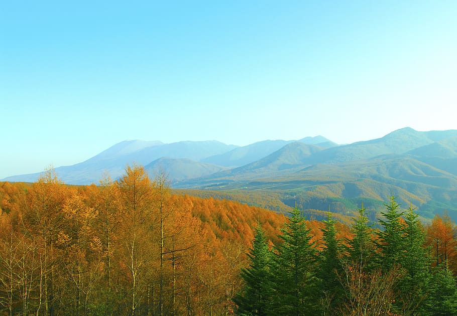 Japan, Nagano Prefecture, nagano, torii pass, autumnal leaves, natural, landscape, arbors and plateau, pass, mountain
