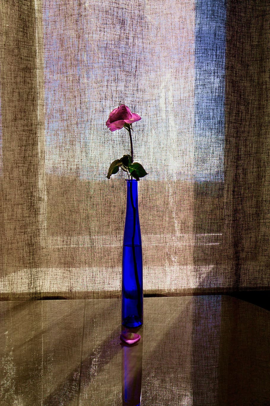Rose, Bouquet, Vase, Flowers, rose, bouquet, beautiful window, flower, indoors, celebration, blue