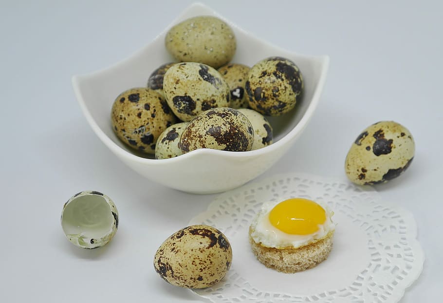 quail eggs, egg, quail egg, shell, fried, cooked, eat, food, protein, yolk