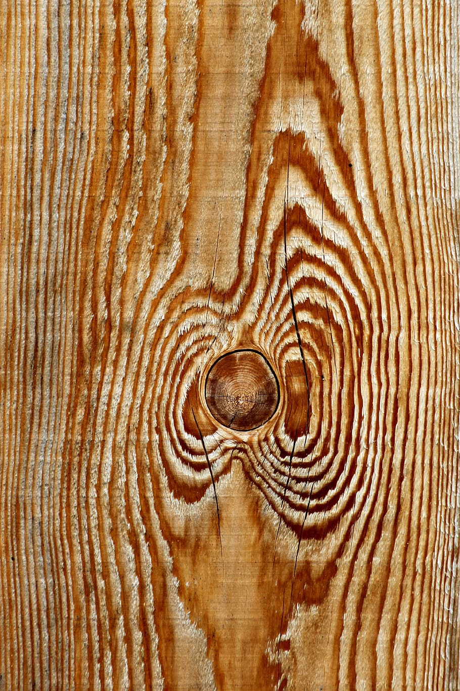 wood, timber, material, sample, grain, structure, nature, pattern, natural pattern, textured