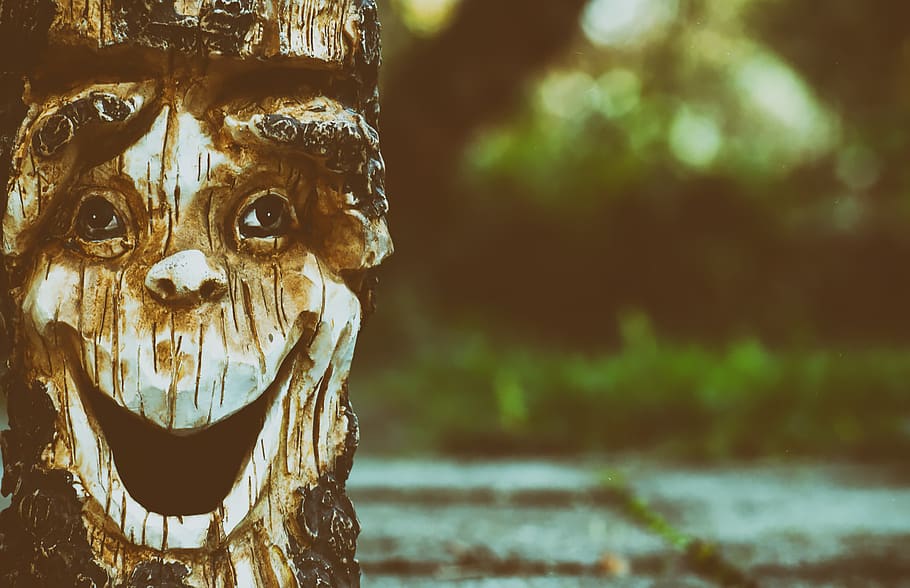 log, face, fash, tree, forest spirit, tree face, mystical, tree spirit, funny, laugh