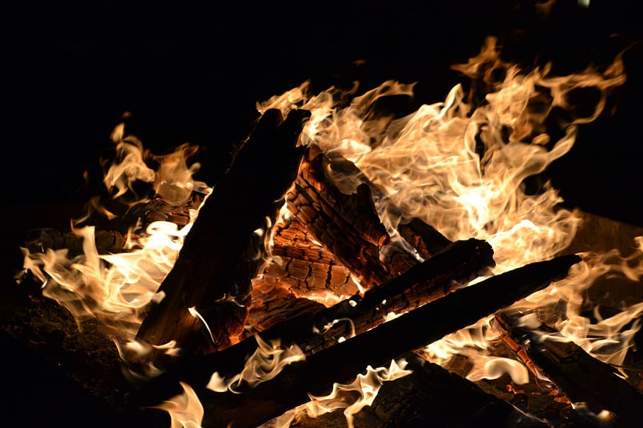 fire, burn, logs, blaze, fireplace, orange, bright, warmth, wood, bonfire