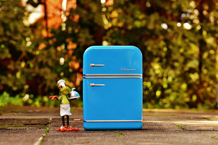 frog, cooking, refrigerator, blue, figure, funny, frogs, cute, cook, chef's hat