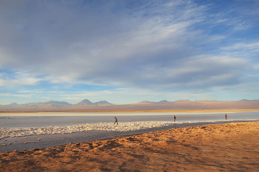 três, pessoa, andando, beira mar, dia, Laguna Cejar, Chile, agua, areia, paisagem