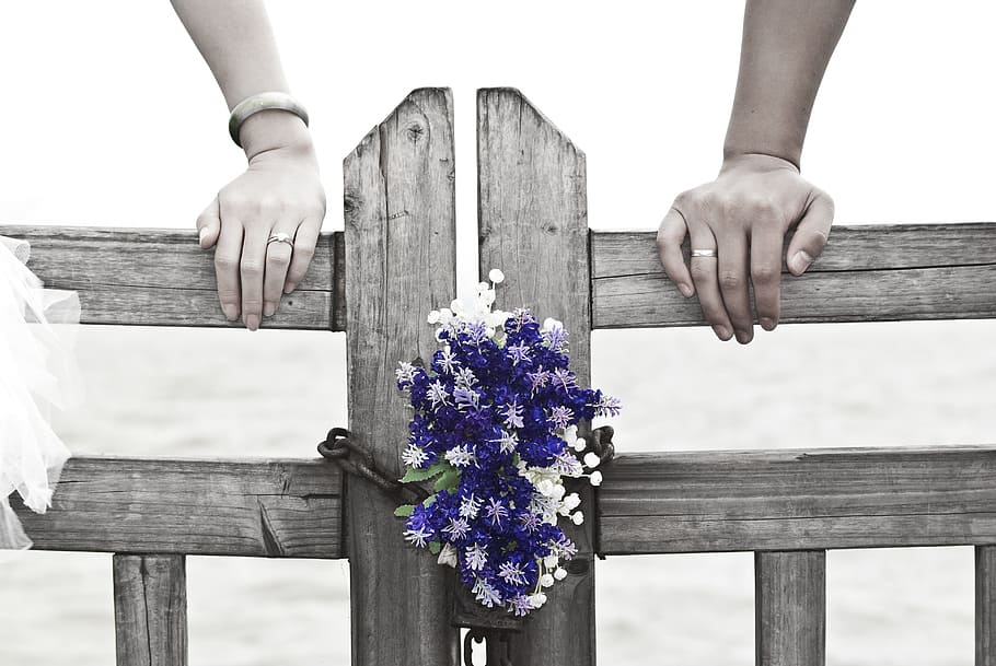 purple, white, petaled flowers, gray, Wedding, Romantic, Flowers, Wooden, Fence, wooden fence