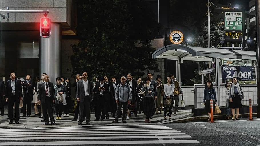 group people, crossing, pedestrian, lane, people, men, women, walking, japanese, asian